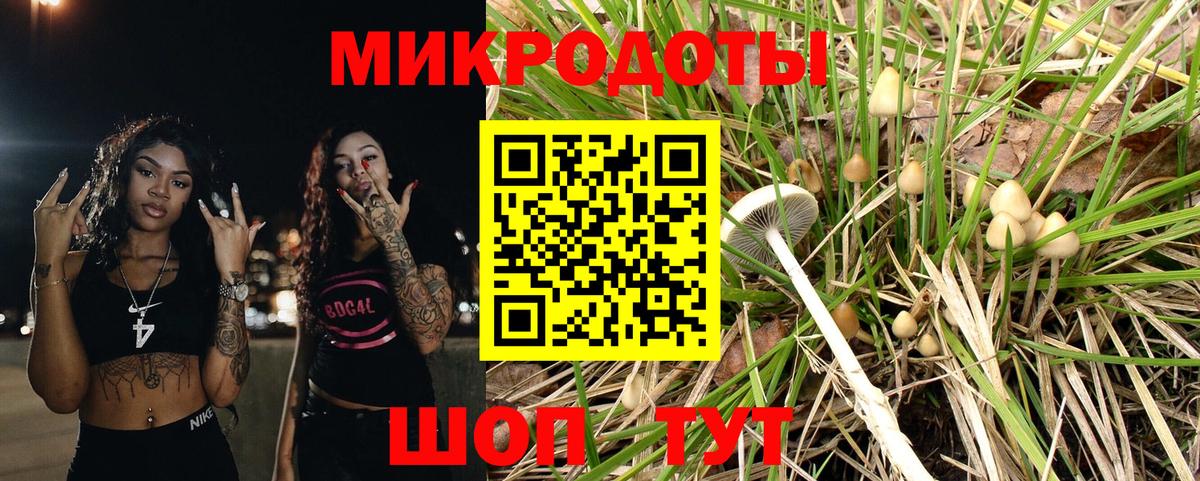 Псилоцибиновые грибы мухоморы  Корсаков  Галлюциногенные грибы Cubensis 